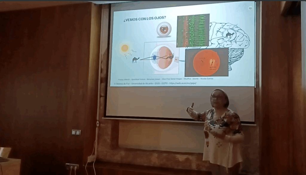 VÍDEO DE LA CONFERÈNCIA: “Veoveo…, (algunos misterios de la percepción visual), càrrec de la Dra. DOLORES DE FEZ – Departament d’Òptica, Farmacologia i Anatomia – Universitat d’Alcant