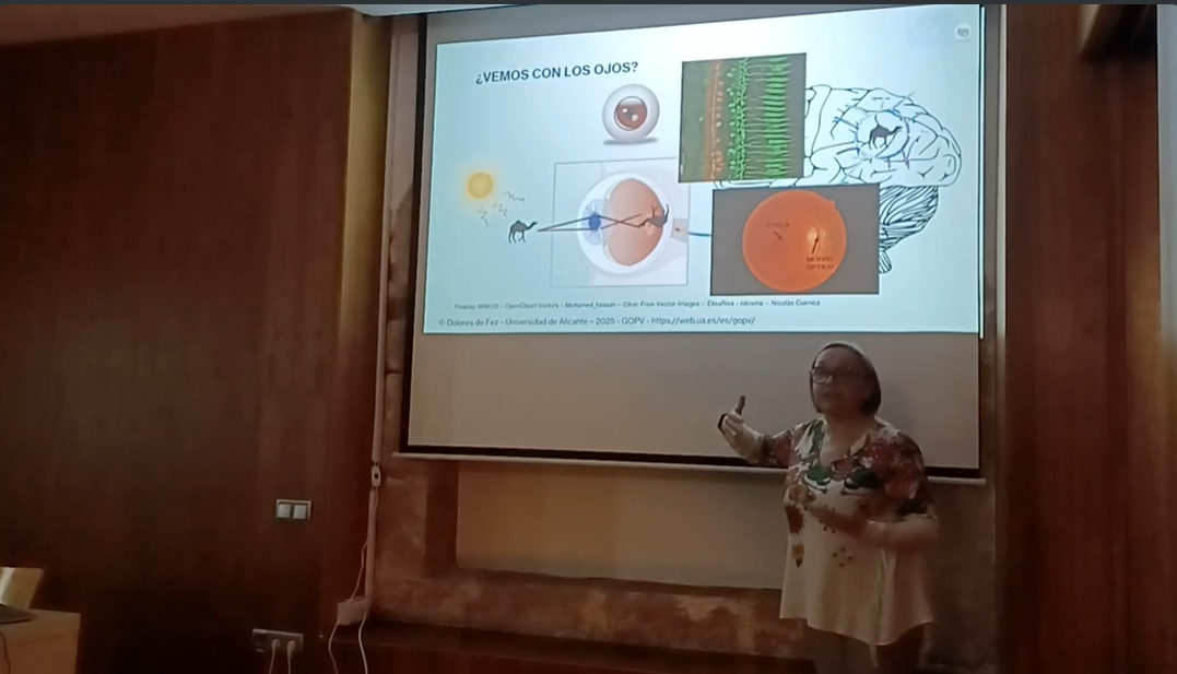 VÍDEO DE LA CONFERÈNCIA: “Veoveo…, (algunos misterios de la percepción visual), càrrec de la Dra. DOLORES DE FEZ – Departament d’Òptica, Farmacologia i Anatomia – Universitat d’Alcant